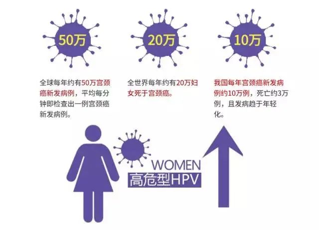 菏泽辟谣互联网平台