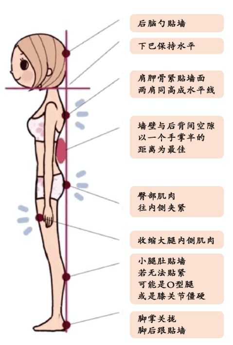 菏泽辟谣互联网平台