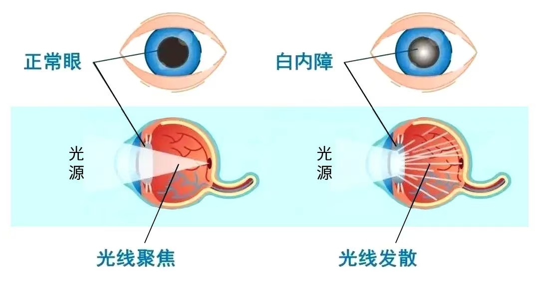 菏泽辟谣互联网平台