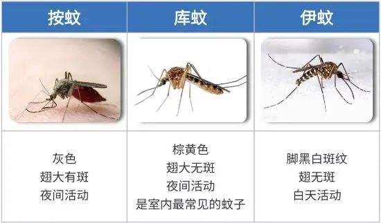 菏泽辟谣互联网平台