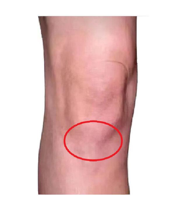 菏泽辟谣互联网平台