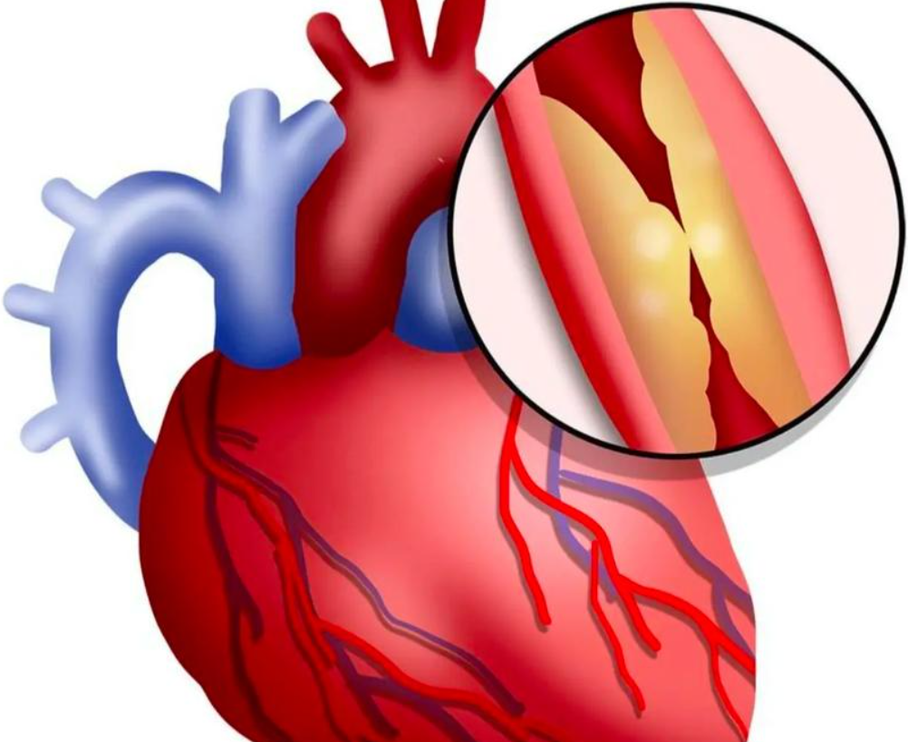 菏泽辟谣互联网平台